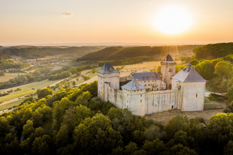 Le Château de Malbrouck, un site Passionnément Moselle du Département de la Moselle - © Guillaume RAMON Château de Malbrouck
